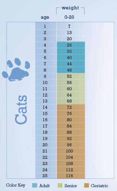 Age Chart Cats