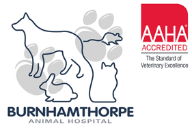 Burnhamthorpe Animal Hospital - AAHA Accredited